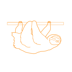Animals Sloths Brown Throated Three Toed Sloth Outline Icon Svg Set, Free Vectors File